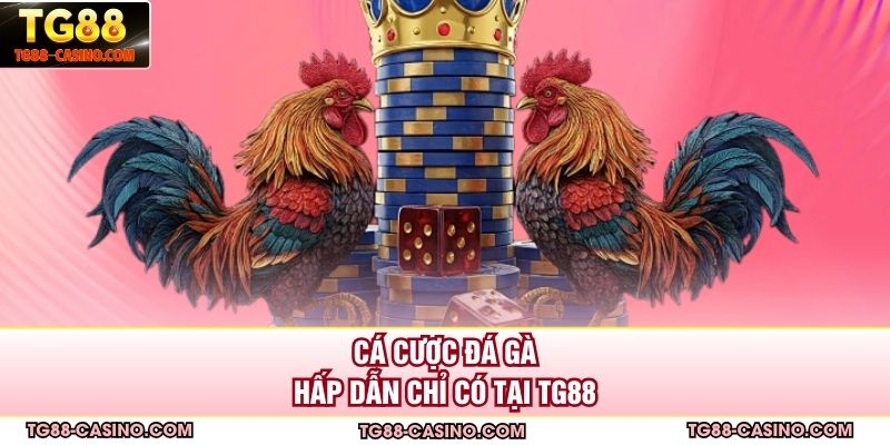 Cá cược đá gà hấp dẫn chỉ có tại TG88